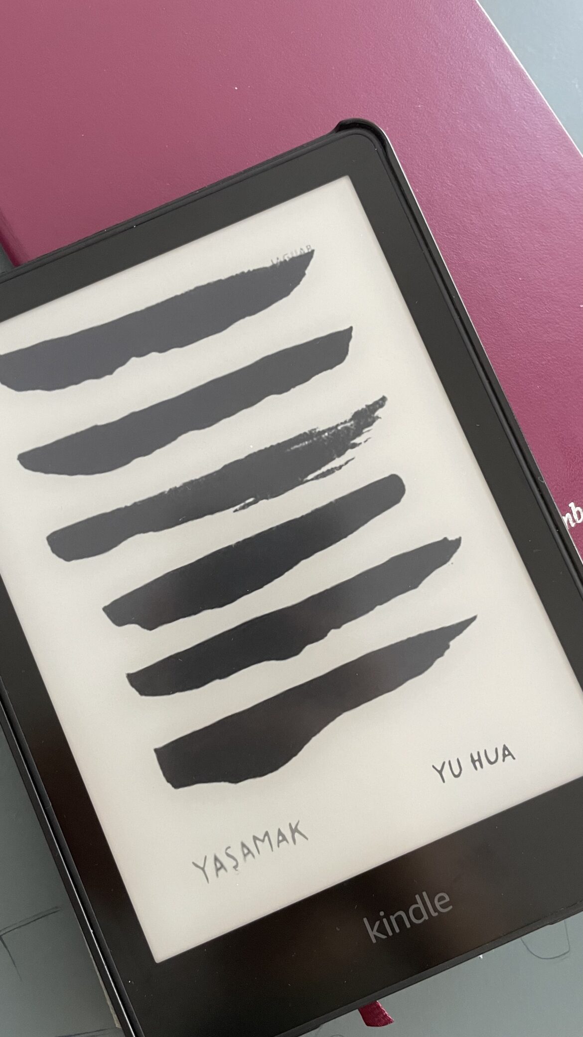 “Yaşamak” Kitap Yorumu